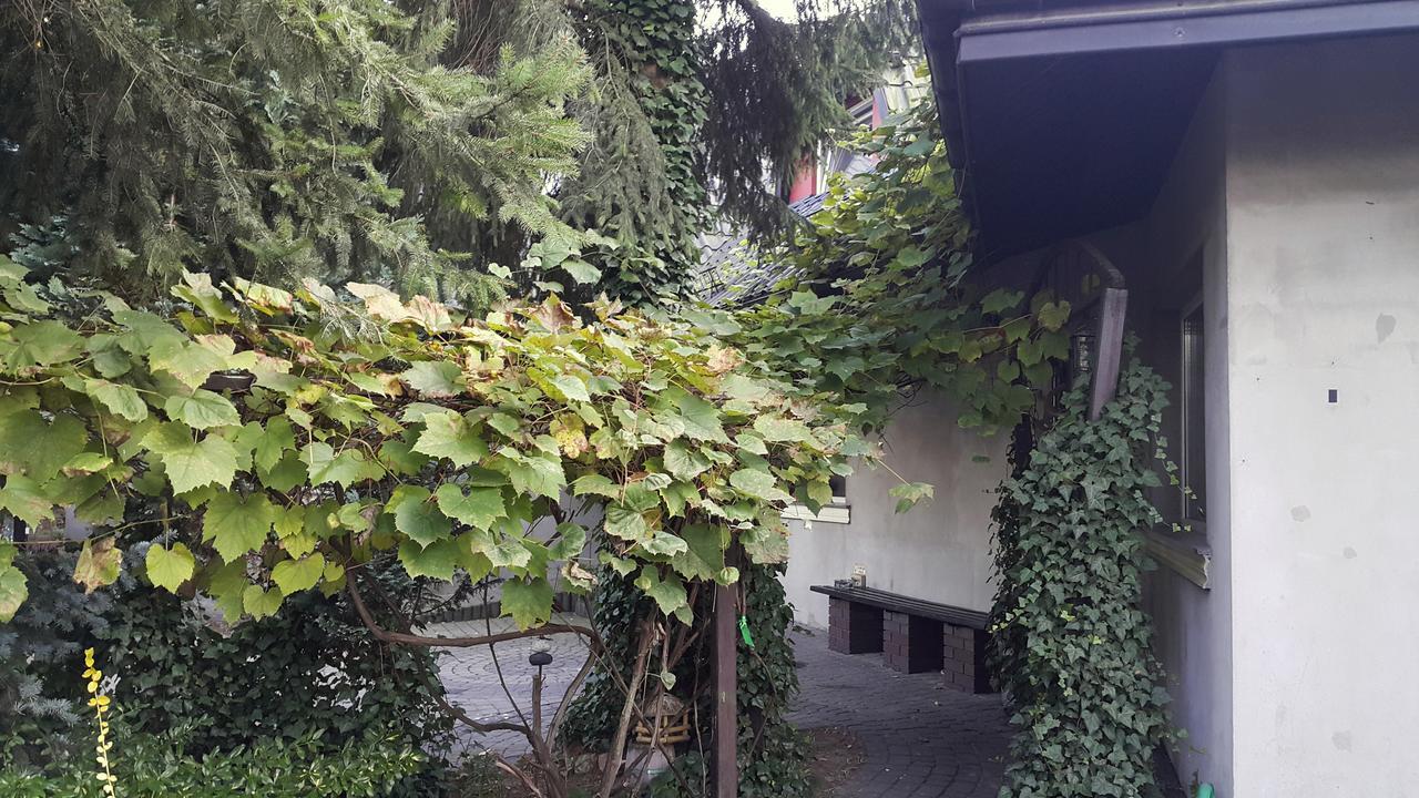 Pensjonat Europa Brzeziny Esterno foto